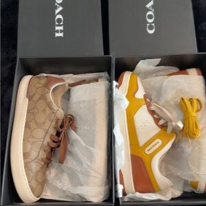 Coach Black and Yellow Shoe Boxes